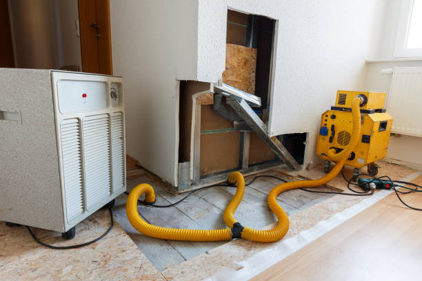 Best Water Damage & Mold Remediation  in USA